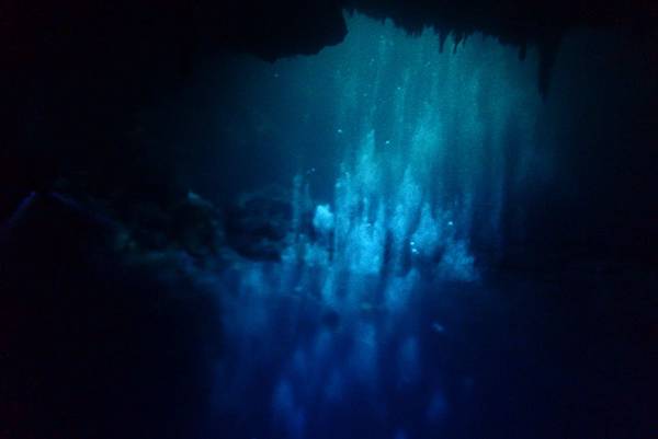 P6220487.JPG P6220487.JPG