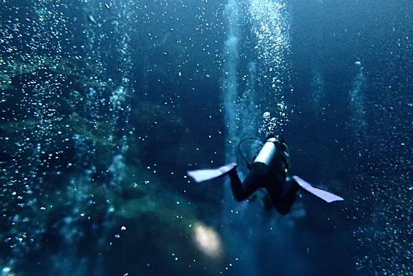 P6220491.JPG P6220491.JPG