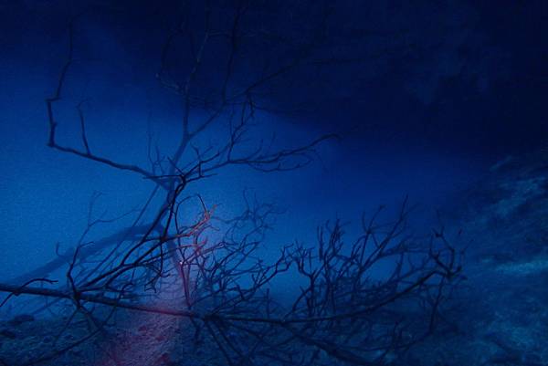 P6220474.JPG P6220474.JPG