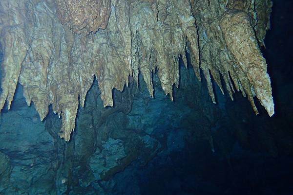 P6230545.JPG P6230545.JPG