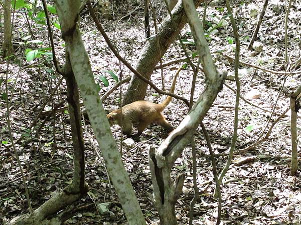 IMG_4167.JPG IMG_4167.JPG