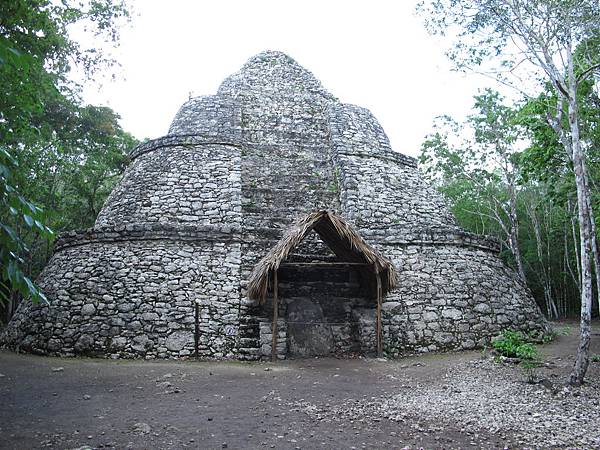 IMG_4196.JPG IMG_4196.JPG