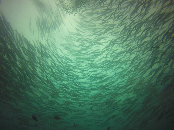 GOPR2022.jpg GOPR2022.jpg