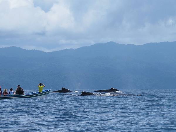 IMG_6344.jpg IMG_6344.jpg