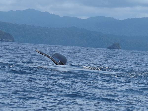 IMG_6346.jpg IMG_6346.jpg