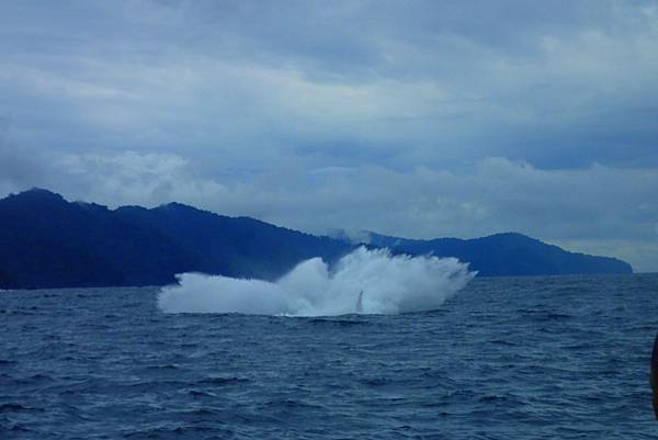 P9240082.jpg P9240082.jpg