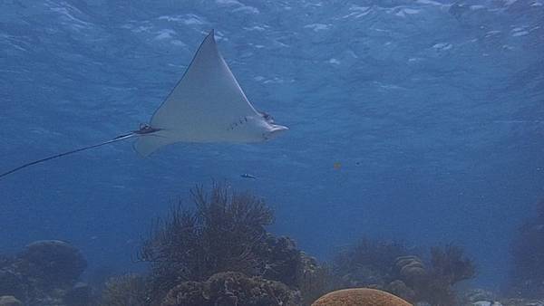 00-00-05-25.jpg 00-00-05-25.jpg