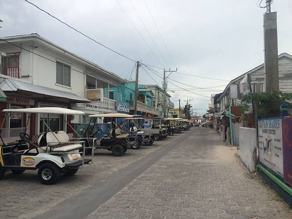 IMG_4175.jpg IMG_4175.jpg