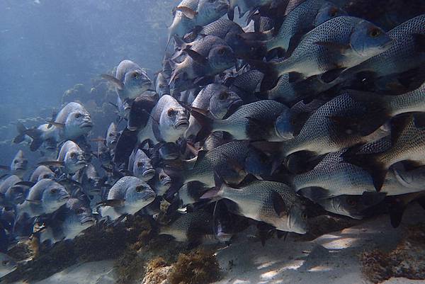 P7070092.JPG P7070092.JPG