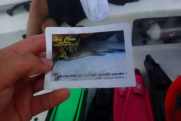 P7080115.JPG P7080115.JPG