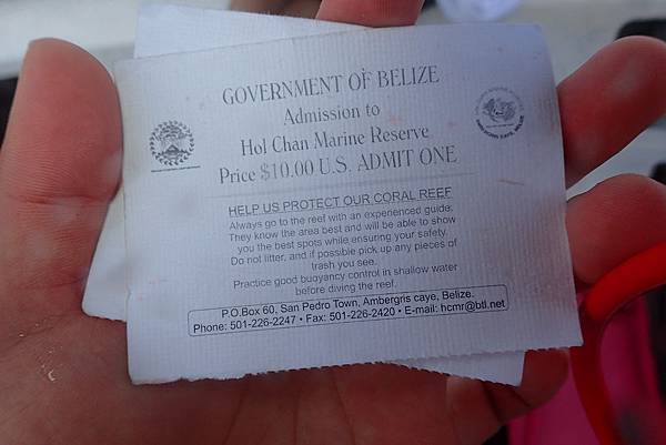 P7080116.JPG P7080116.JPG