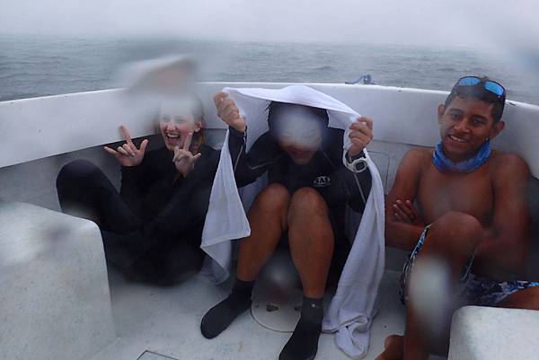 P7080117.JPG P7080117.JPG