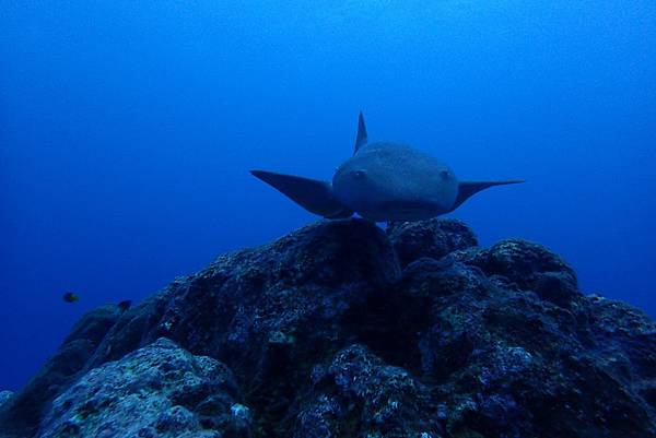 P7080122.JPG P7080122.JPG