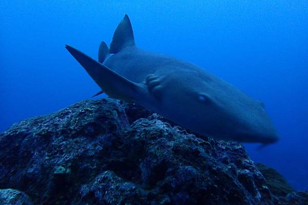 P7080123.JPG P7080123.JPG