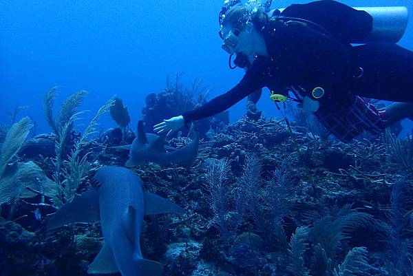 P7080167.JPG P7080167.JPG