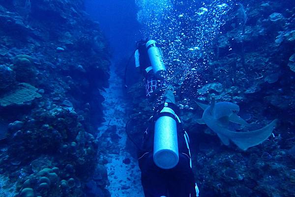 P7080136.JPG P7080136.JPG