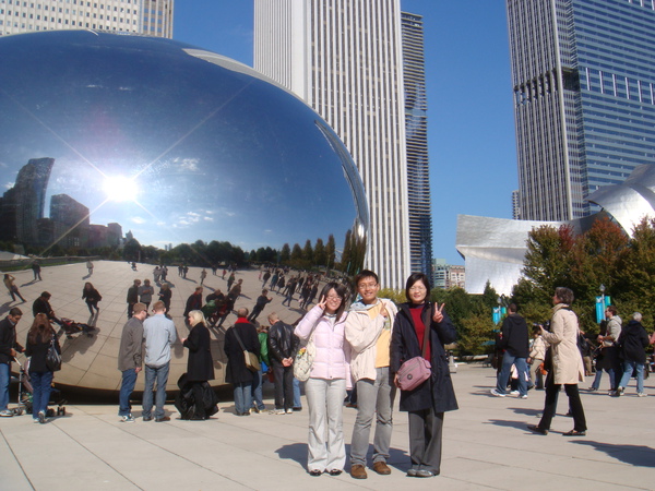 The bean (8)