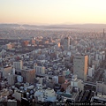 DSC03138.JPG