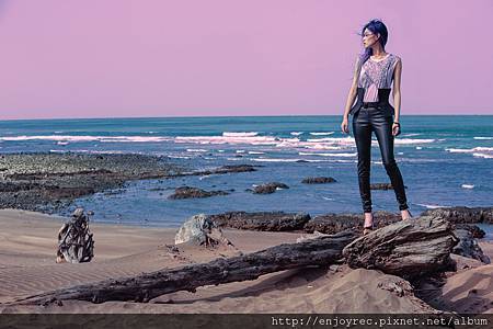 _AN_8202-2 _AN_8202-2