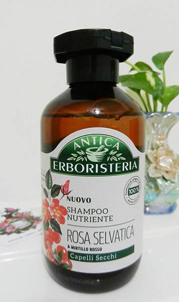 Antica Erboristeria (1).JPG