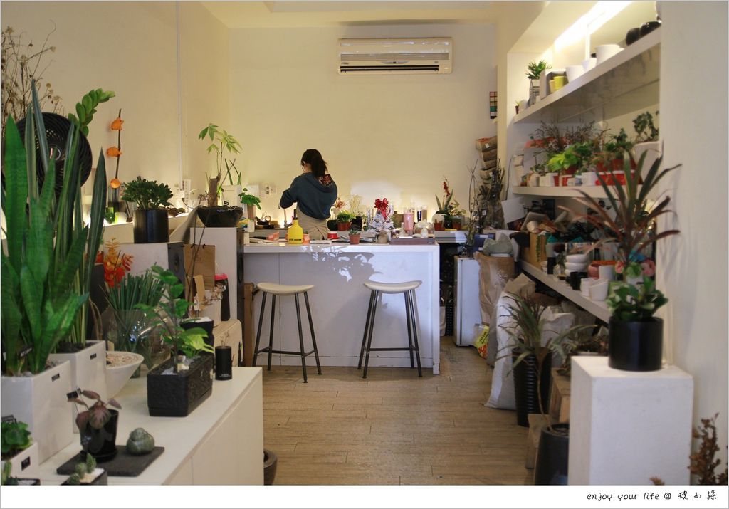 台南盆栽花店 日光夏蘭 讓植物盆栽很有生命力 專屬訂製 專業照料 送一份永遠不凋零的祝福給重要的人 享受生活不無聊 規小孫 台南盆栽花店 日光夏蘭 讓植物盆栽很有生命力 專屬訂製 專業照料 送一份永遠不凋零的祝福給重要的人 享受生活不無聊 規小孫