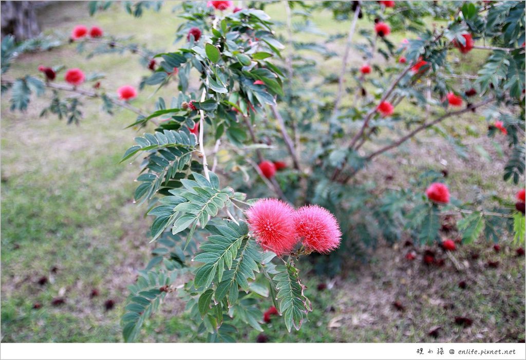 IMG_2879.JPG IMG_2879.JPG