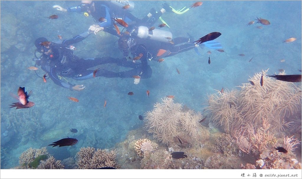 菲律賓科隆島旅遊 六天行程day2 2 第二天午後行程 盧松砲艦沉船 露天海水溫泉 燕子餐廳巴拉望料理 像是桌布般的海底世界充滿各式各樣的熱帶魚 享受完海底湧出的溫泉 吃一餐巴拉望大餐超過癮 享受生活不無聊 規小孫 菲律賓科隆島旅遊 六天行程day2 2 第二天午後行程 盧松砲艦沉船 露天海水溫泉 燕子餐廳巴拉望料理 像是桌布般的海底世界充滿各式各樣的熱帶魚 享受完海底湧出的溫泉 吃一餐巴拉望大餐超過癮 享受生活不無聊 規小孫