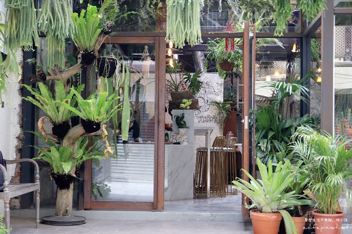 台南 珍妮花與南洋杉jennifer Araucaria 台南ig 植栽餐廳 台南最美泰式料理 躲進最愛的空鳳與蕨類懷抱裡 品嚐夏天最消暑的酸辣滋味 輕旅行 台南 珍妮花與南洋杉jennifer Araucaria 台南ig 植栽餐廳 台南最美泰式料理 躲進最愛的空鳳與蕨類懷抱裡 品嚐夏天最消暑的酸辣滋味 輕旅行