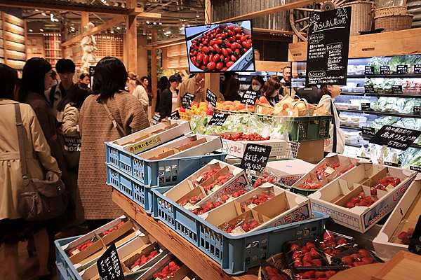 東京銀座飯店 Muji Hotel Ginza 無印良品世界旗艦店 日本首間無印良品飯店就在銀座 遇見她是我們這趟東京行最棒的回憶 享受生活不無聊 規小孫 東京銀座飯店 Muji Hotel Ginza 無印良品世界旗艦店 日本首間無印良品飯店就在銀座 遇見她是我們這趟東京行最棒的回憶 享受生活不無聊 規小孫