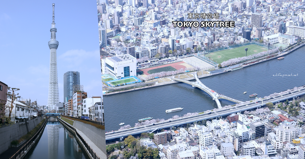 東京,晴空塔,野餐,空拍,獨木舟,日本旅遊
