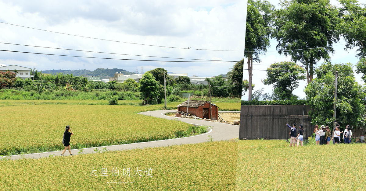 大里伯朗.png