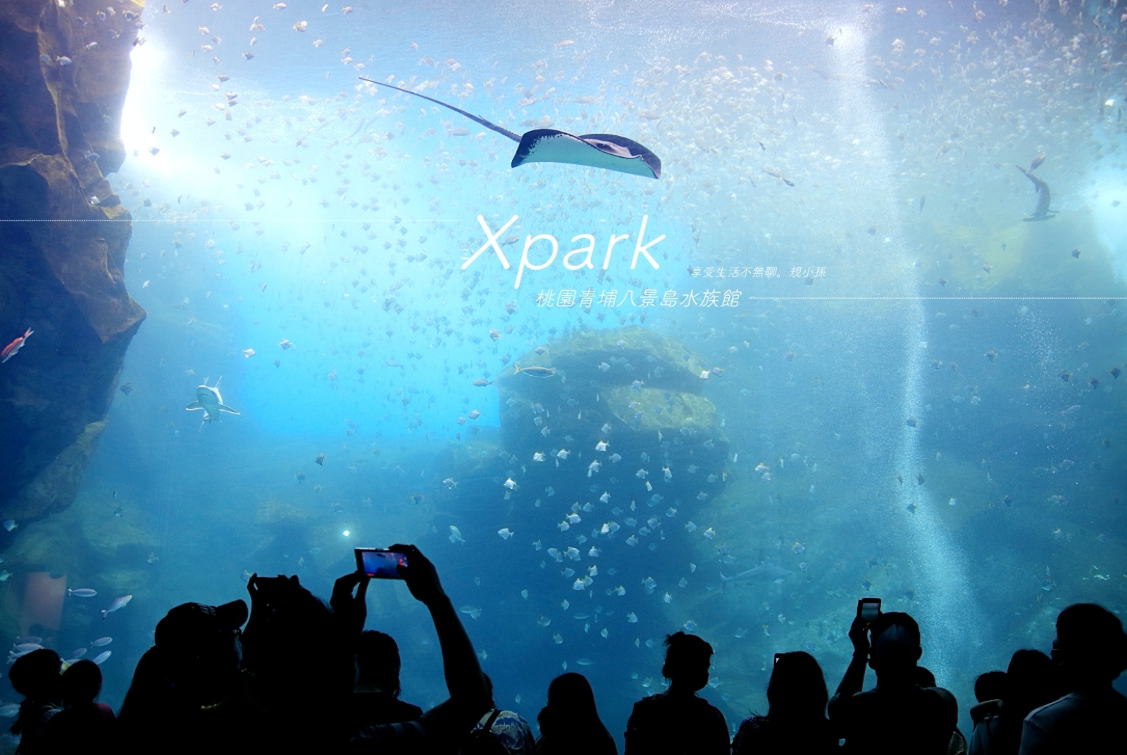 桃園水族館,Xpark,八景島水族館,福爾摩沙台灣大水槽,癒見水母區,企鵝奇遇區,青埔特區,桃園,中壢區,青埔,水族館