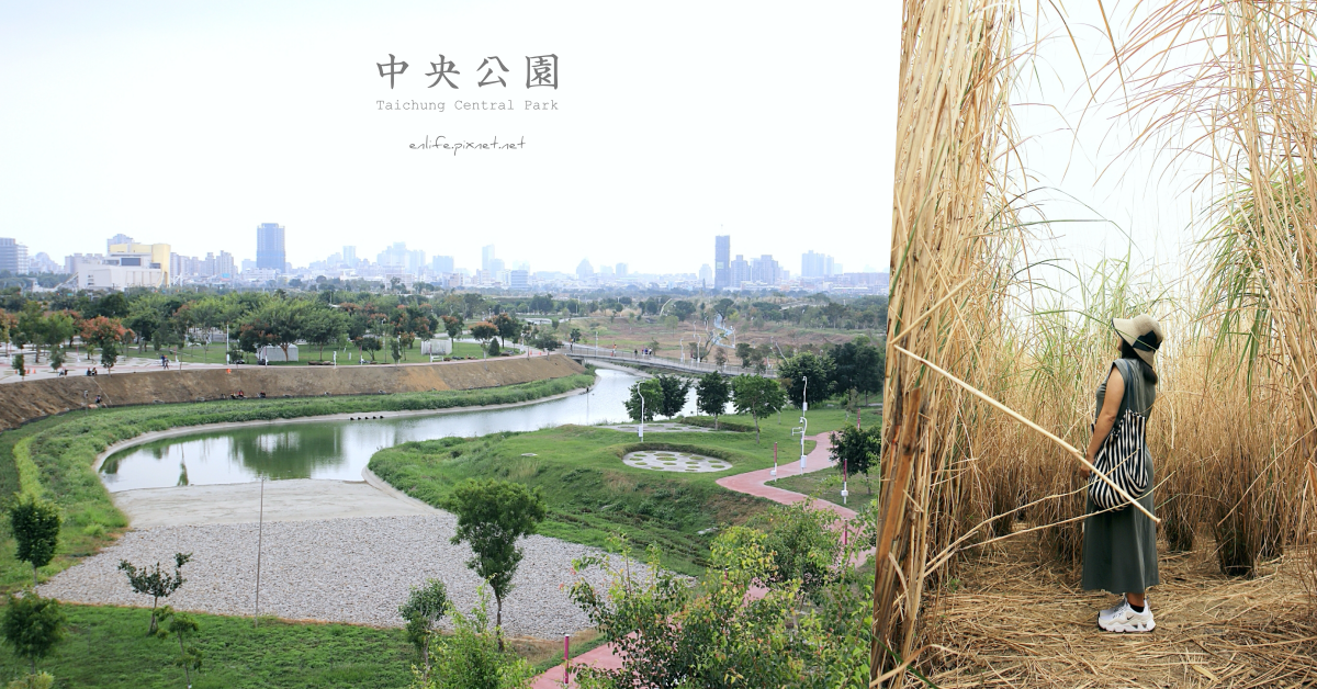 台中中央公園,五節芒,抹茶湖,科湳愛琴橋,自我體驗區,台中跨年演唱會,水湳機場,台中,西屯,中央公園,台中水湳經貿園區中央公園,芒花,芒草,台中跨年晚會,跨年,科湳愛情