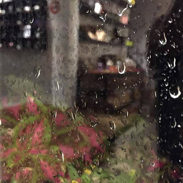 11692786_839077112847752_8142244018340210272_n