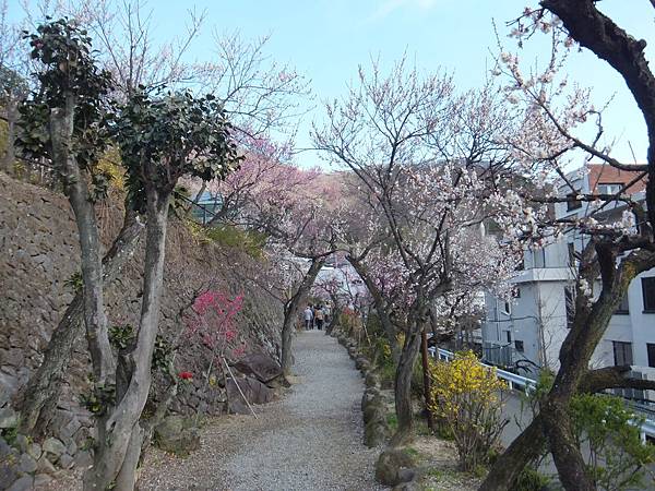 山梨甲府酒折の不老園 (8)