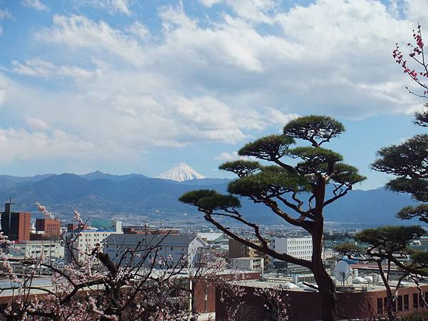 山梨甲府酒折の不老園 (90)