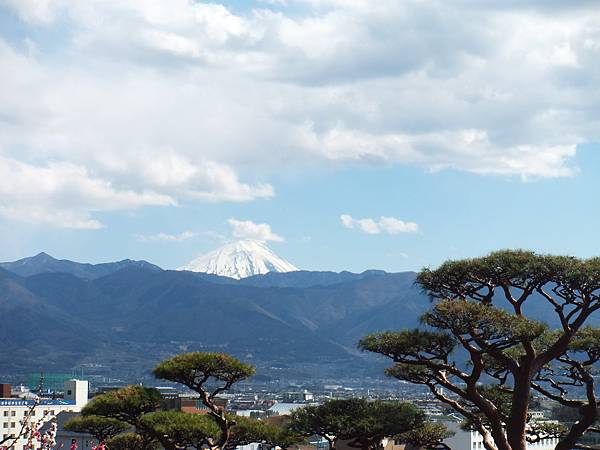 山梨甲府酒折の不老園 (96)