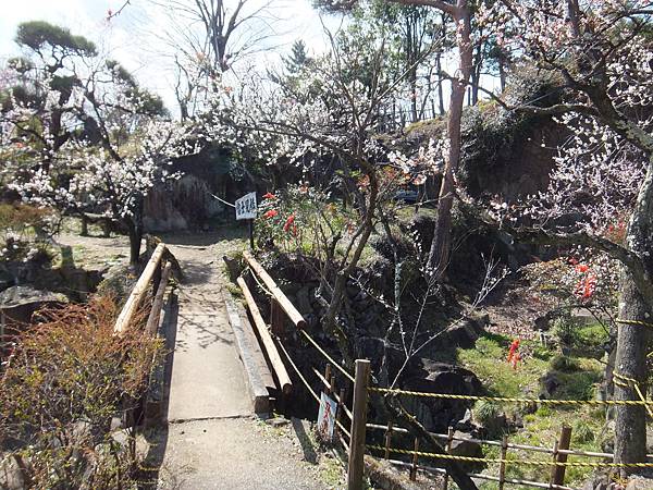 山梨甲府酒折の不老園 (100)