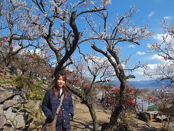 山梨甲府酒折の不老園 (102)