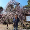 山梨甲府酒折の不老園 (106)