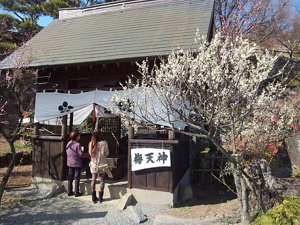 山梨甲府酒折の不老園 (108)