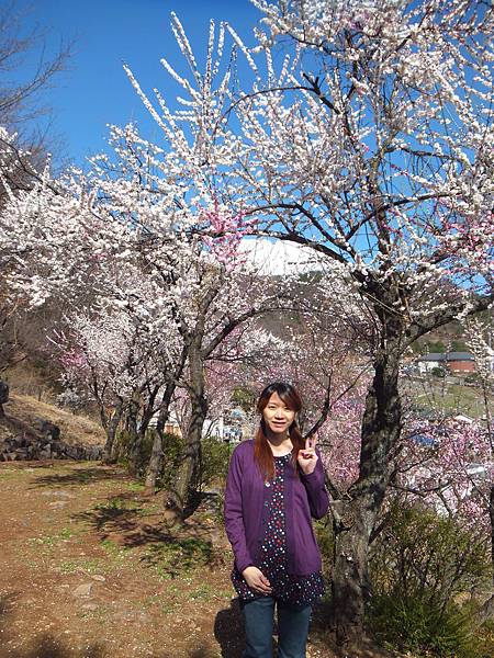 山梨甲府酒折の不老園 (125)