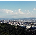 PA290651.JPG