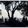 PA290669.JPG