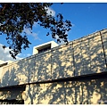 PA290686.JPG