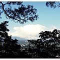 PA290649.JPG