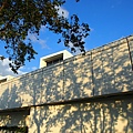 PA290686.JPG