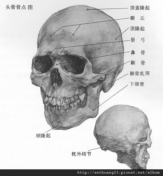 醫生 我鼻子塌下去了 鼻骨骨折 黃耀璋醫師blog 義大醫院耳鼻喉部 痞客邦