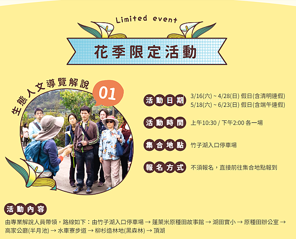 【陽明山花季】海芋季