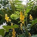 P1040831